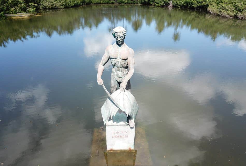 Estatua rodeada de agua con vegetación verde al fondo.
