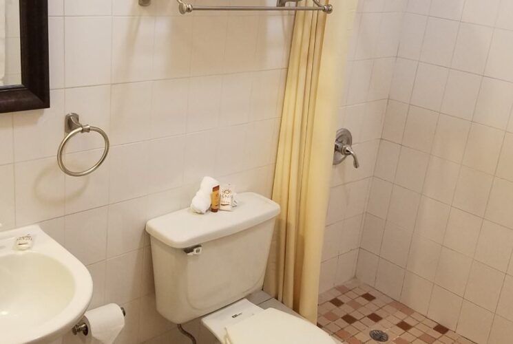 Bathroom with stand up shower, white tile, white toilet, white pedestal sink, and framed mirror