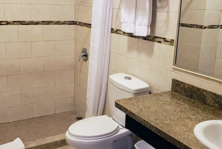 Bathroom with stand up shower, light tan tile, white toilet, quartz looking vanity top, and a mirror
