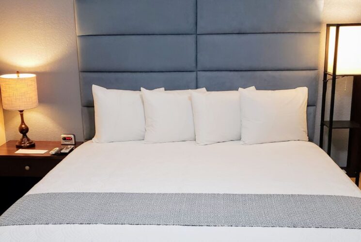 Bedroom with light blue and tan walls, tile flooring, blue upholstered headboard, and white bedding