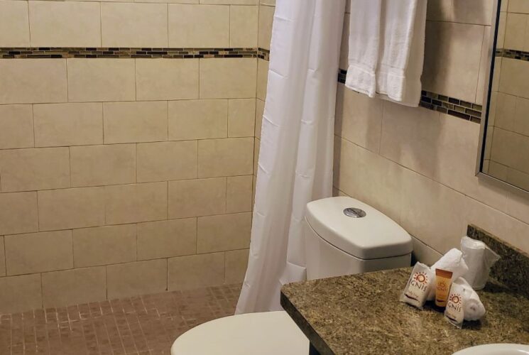 Bathroom with stand up shower, light tan tile, white toilet, quartz looking vanity top, and a mirror