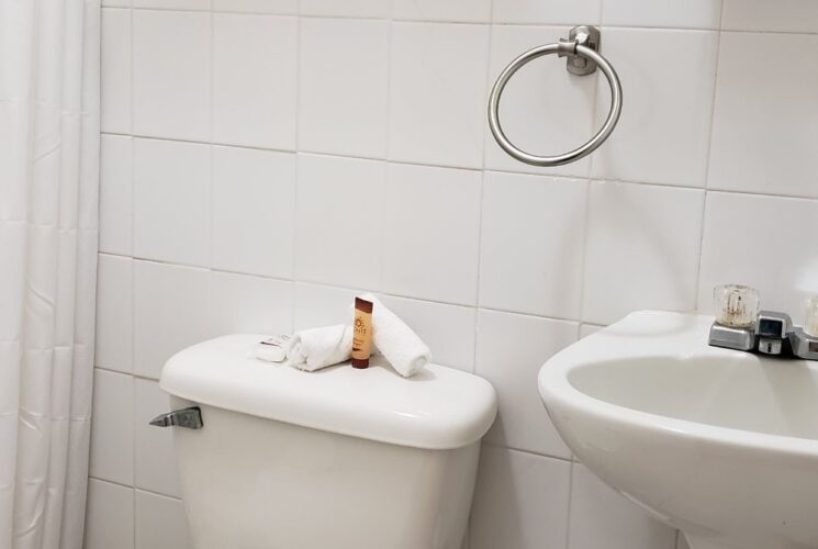 Bathroom with stand up shower, white tile, white toilet, and white pedestal sink
