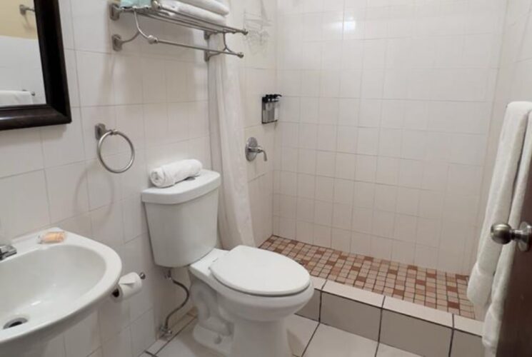 Bathroom with stand up shower, white tile, white toilet, white pedestal sink, and framed mirror